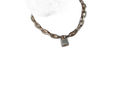 ruff GEAR Pitbull Chain 4mm with 20mm Master Lock