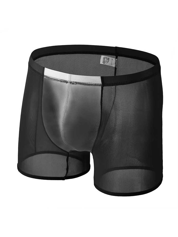Men's Sexy Breathable Sheer Mesh Boxer Briefs