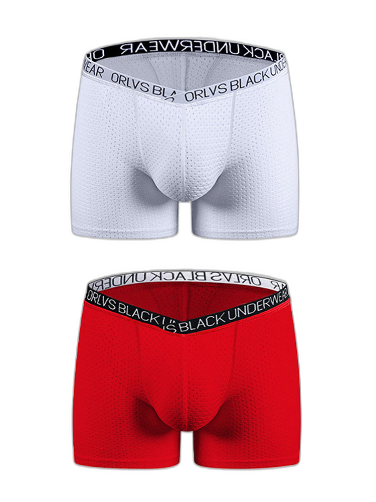 2 Pack Men's Sexy V-shape Waistband Mesh Trunks