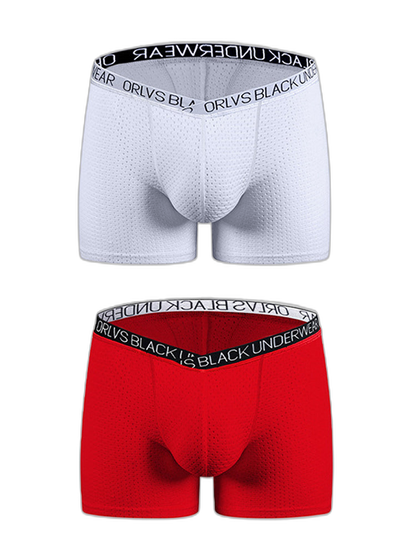 2 Pack Men's Sexy V-shape Waistband Mesh Trunks