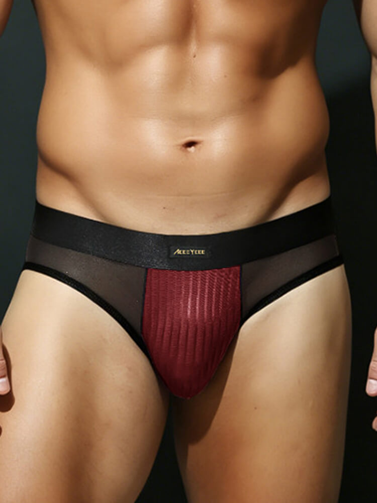 Men's Low-Rise Sexy Mesh-Paneled Breathable Briefs