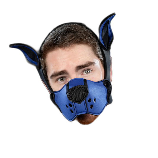 Mr S Leather Neoprene K9 Kit Ears Royal