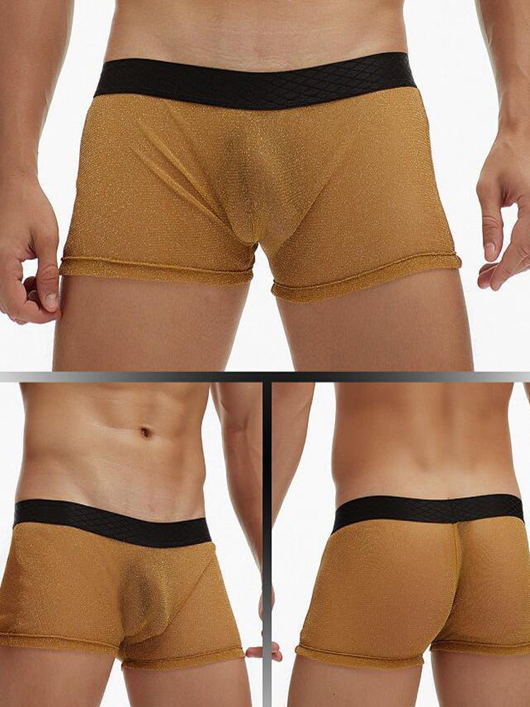Men's Sheer Mesh Pouch Boxer