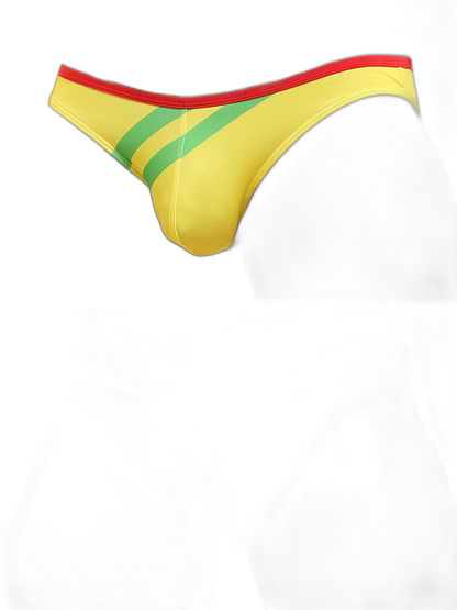 2 Pack Men's Low-rise Vibrant Stripe Bikini