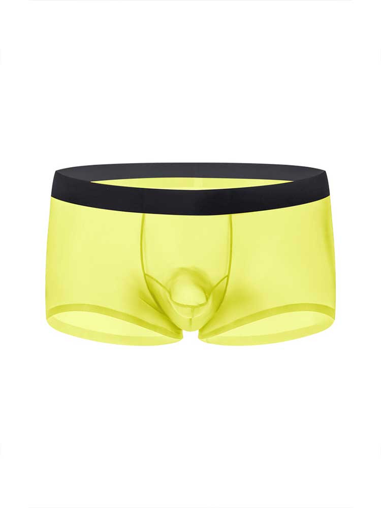 Men's Sexy Seamless Sheer Ice Silk Boxer Briefs