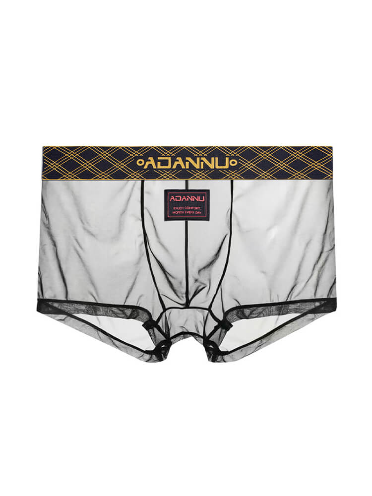 Men's Embroidered Sexy Sheer Sports Thin Boxer Briefs