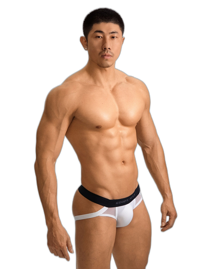 2 Pack Men's Low-Rise Ice Silk Breathable Mesh Jockstrap