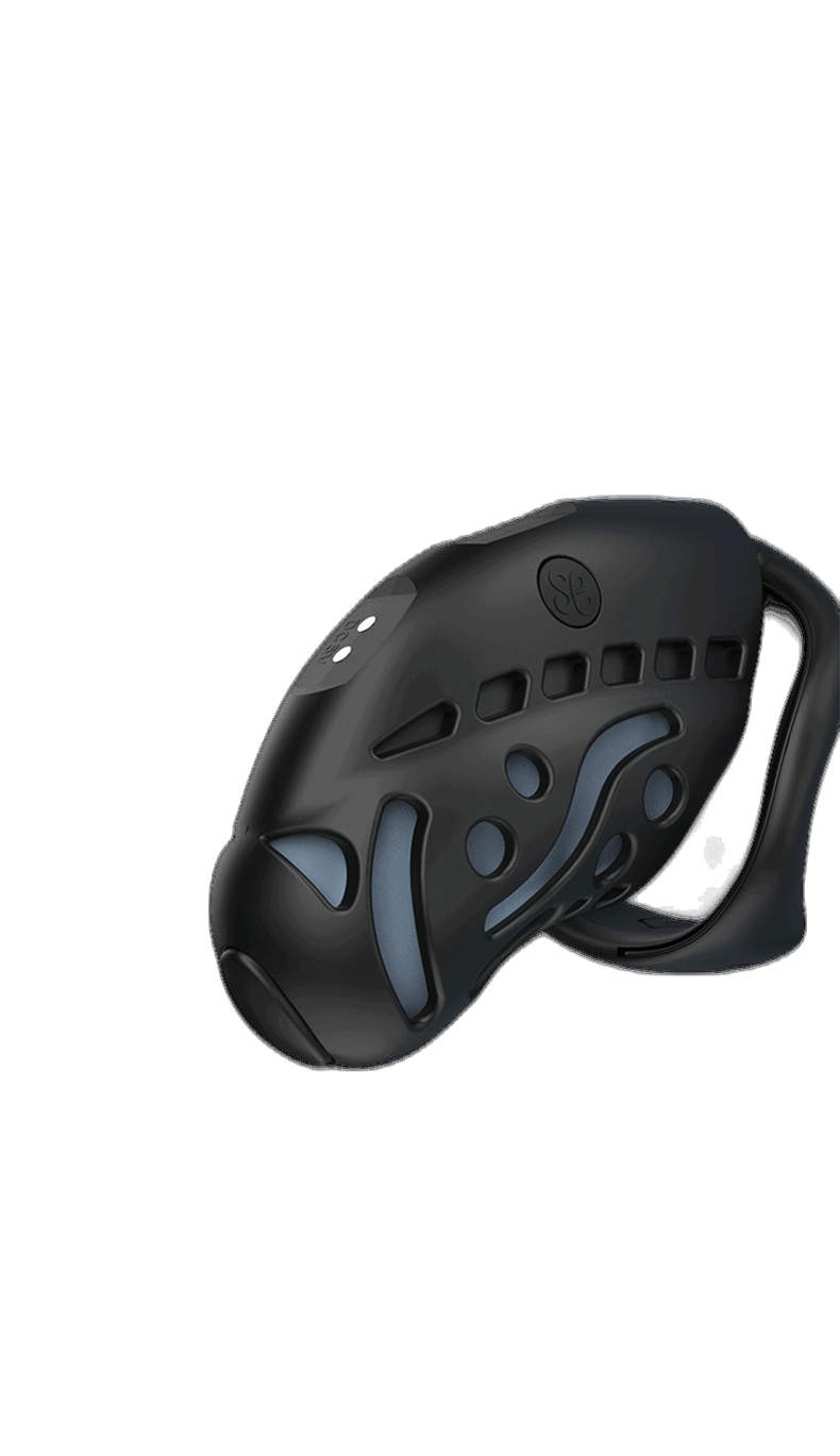 Remote Control Shock Chastity Cage