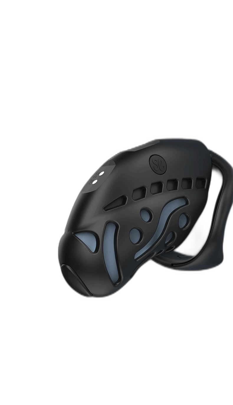 Remote Control Shock Chastity Cage