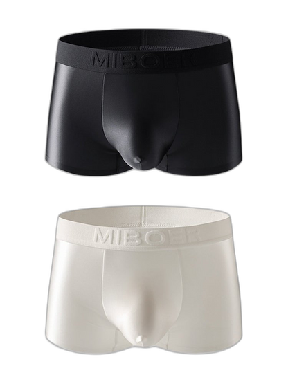 2 Pack Men's Premium Ice Silk Ultra-Soft Lightweight & Airy Trunks