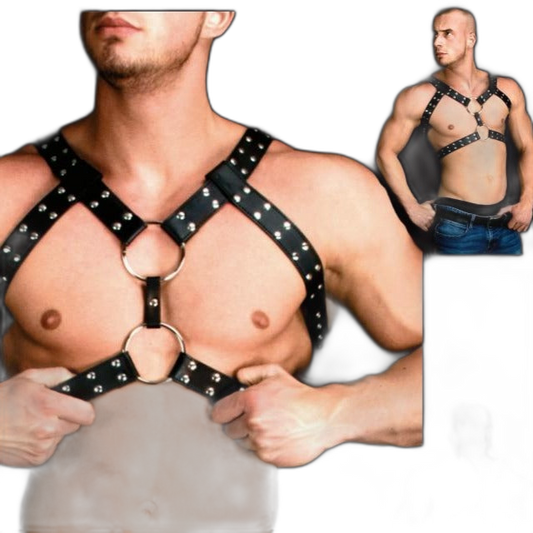 Y-Studded Leather Harness