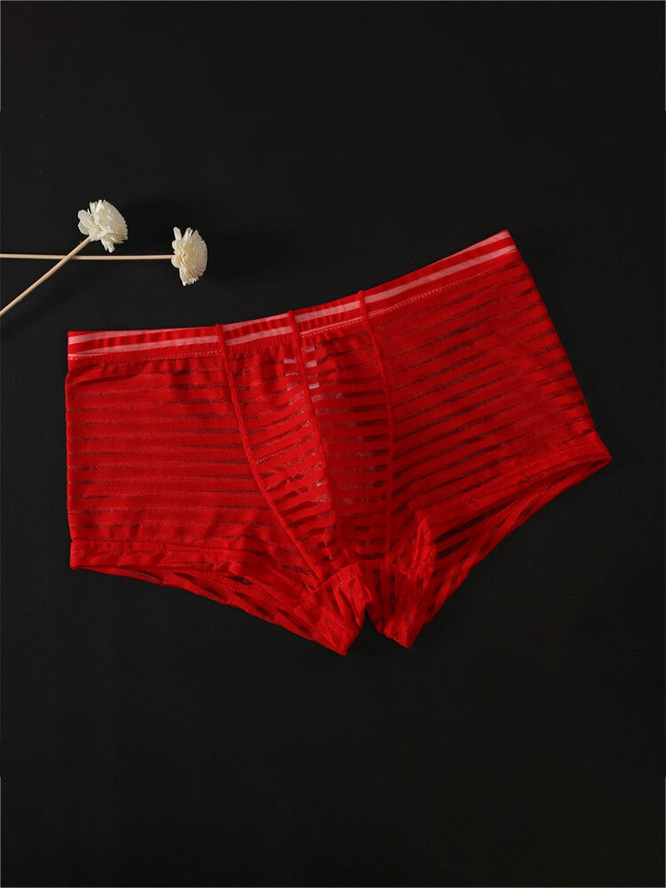 Men's Sexy Mesh Transparent Striped Boxer Briefs