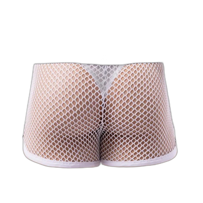 AllureFit Sexy Mesh Boxers Briefs