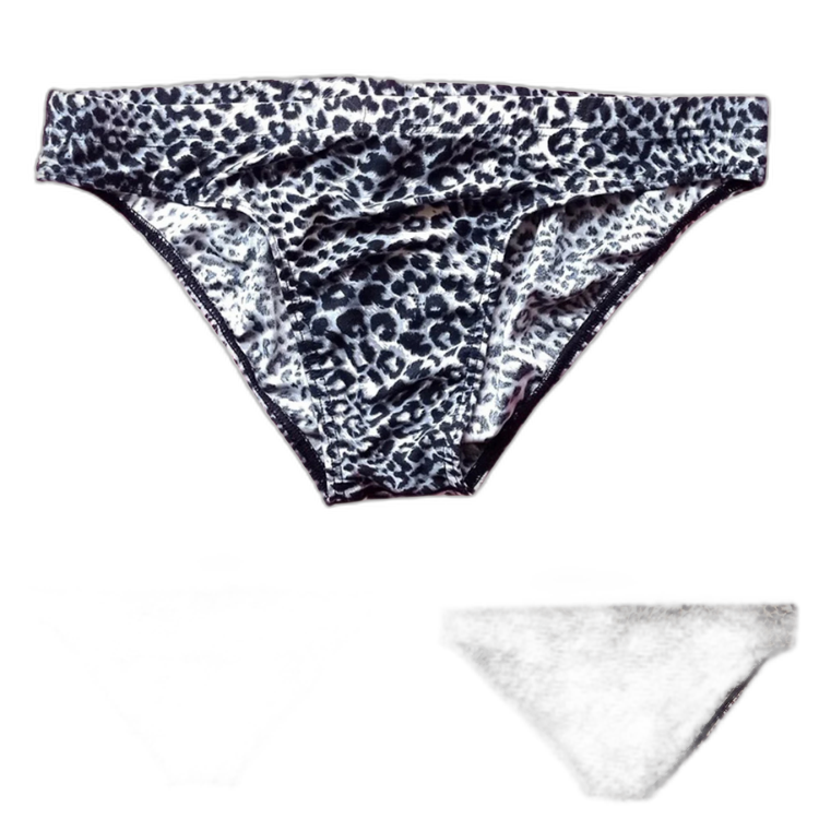 Wild Thoughts Fierce Leopard Men’s Briefs