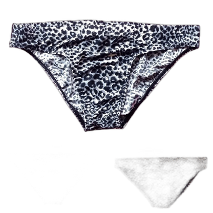 Wild Thoughts Fierce Leopard Men’s Briefs