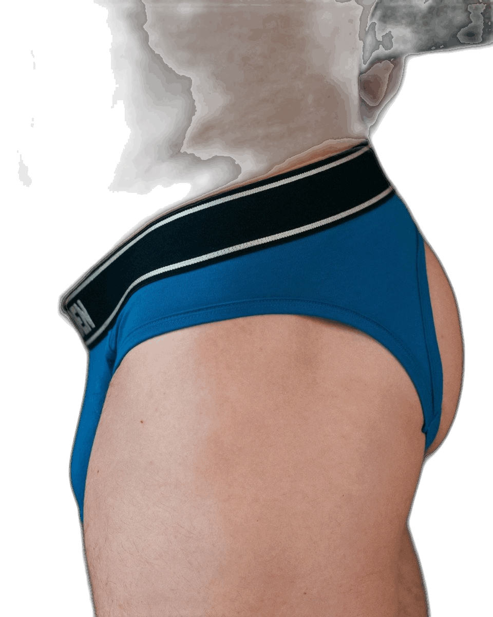 DEN Hybrid Brief - Blue