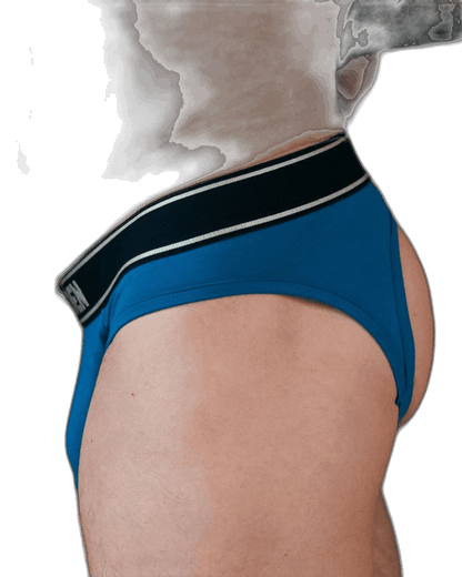 DEN Hybrid Brief - Blue