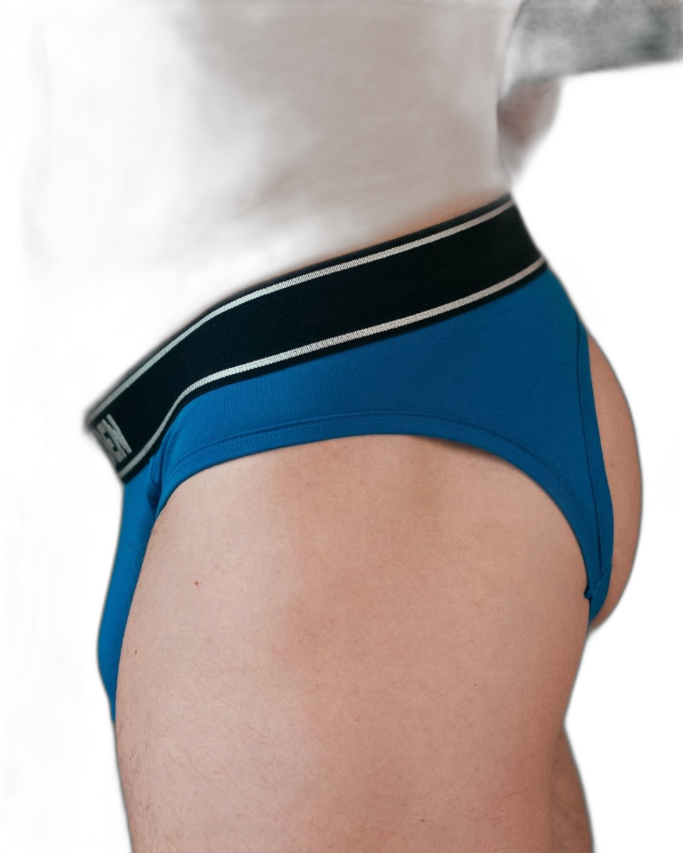 DEN Hybrid Brief - Blue
