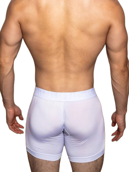 2 Pack Men's Trendy Breathable Ice Silk Boxer Briefs