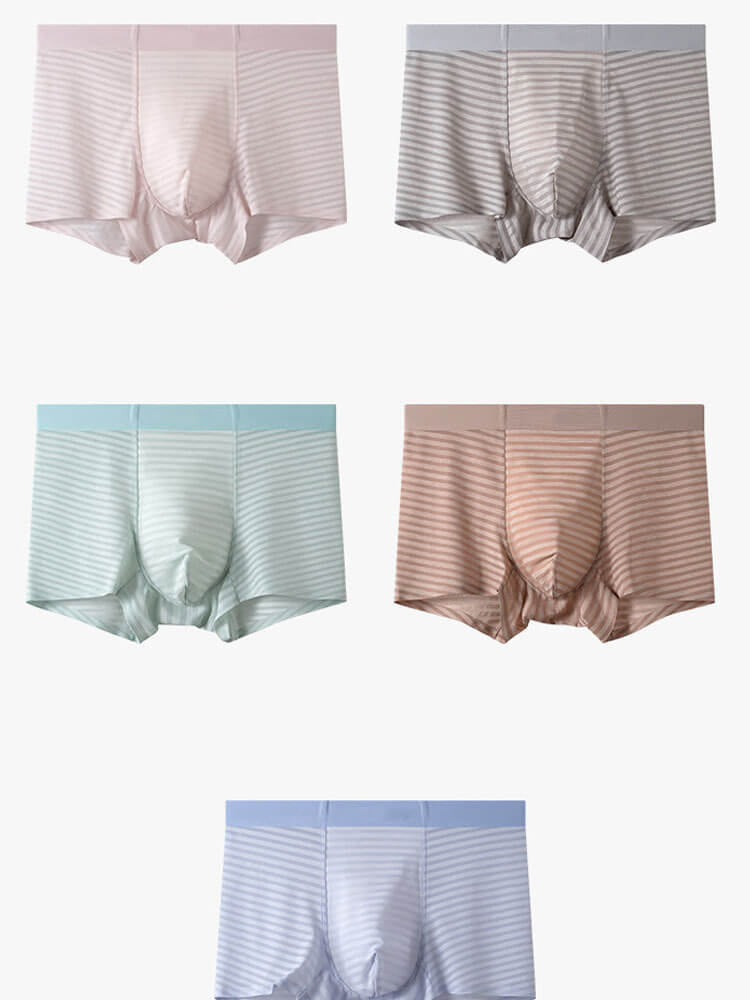 Men's Sexy Sheer Striped Ice Silk Boxer Briefs