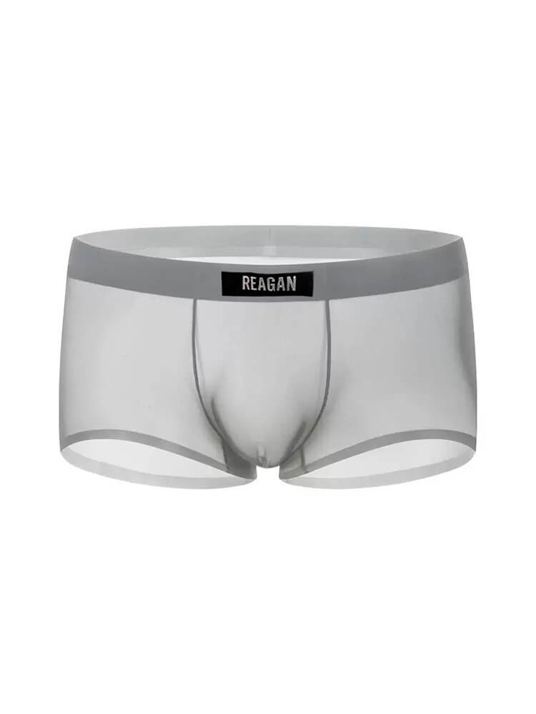Men's Sexy See-Through Solid Color Boxer Briefs