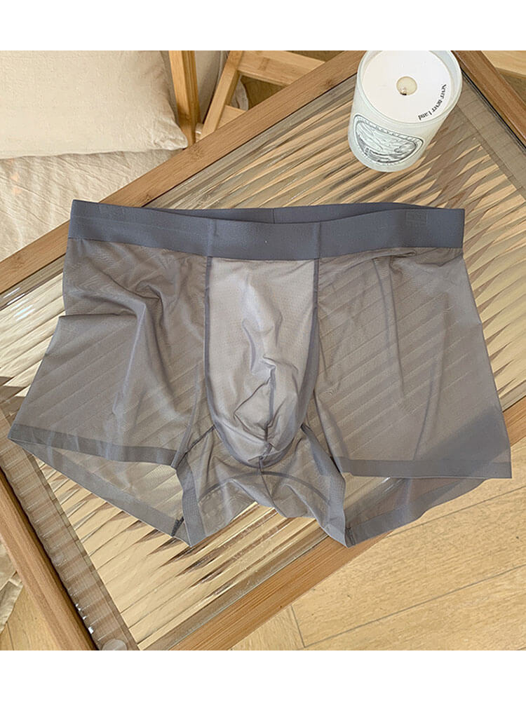 Men's Ultra-Thin Sheer Ice Silk Boxer Briefs