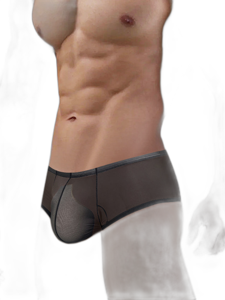 2 Pack Men's Breathable Sheer Elegance Quick-Dry Ultra-Soft Trunks