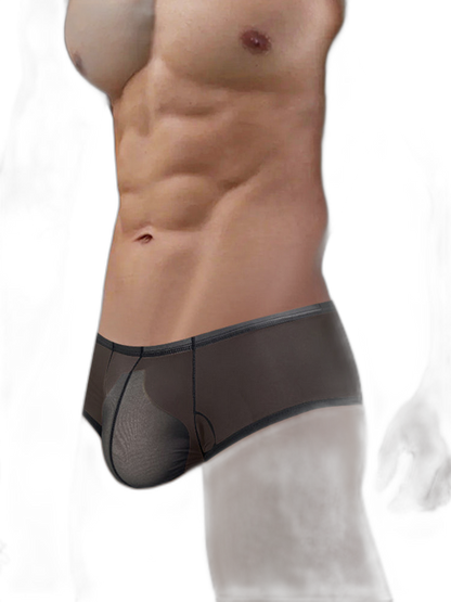 2 Pack Men's Breathable Sheer Elegance Quick-Dry Ultra-Soft Trunks