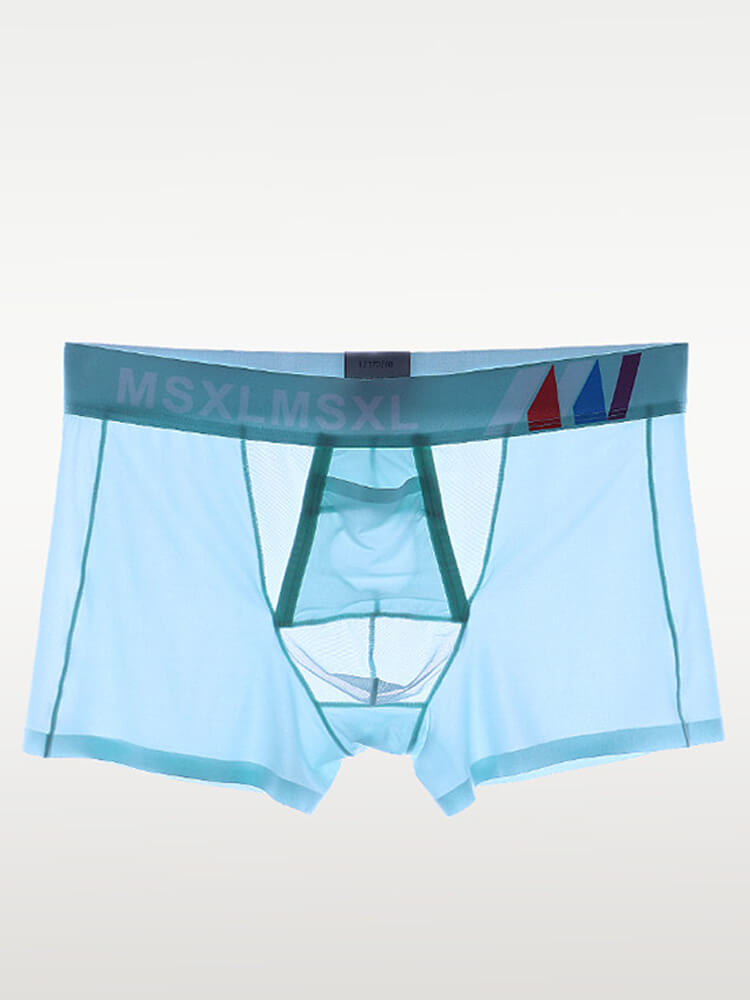 Men's Sexy Sheer Gun Bullet Separation Thin Trunks