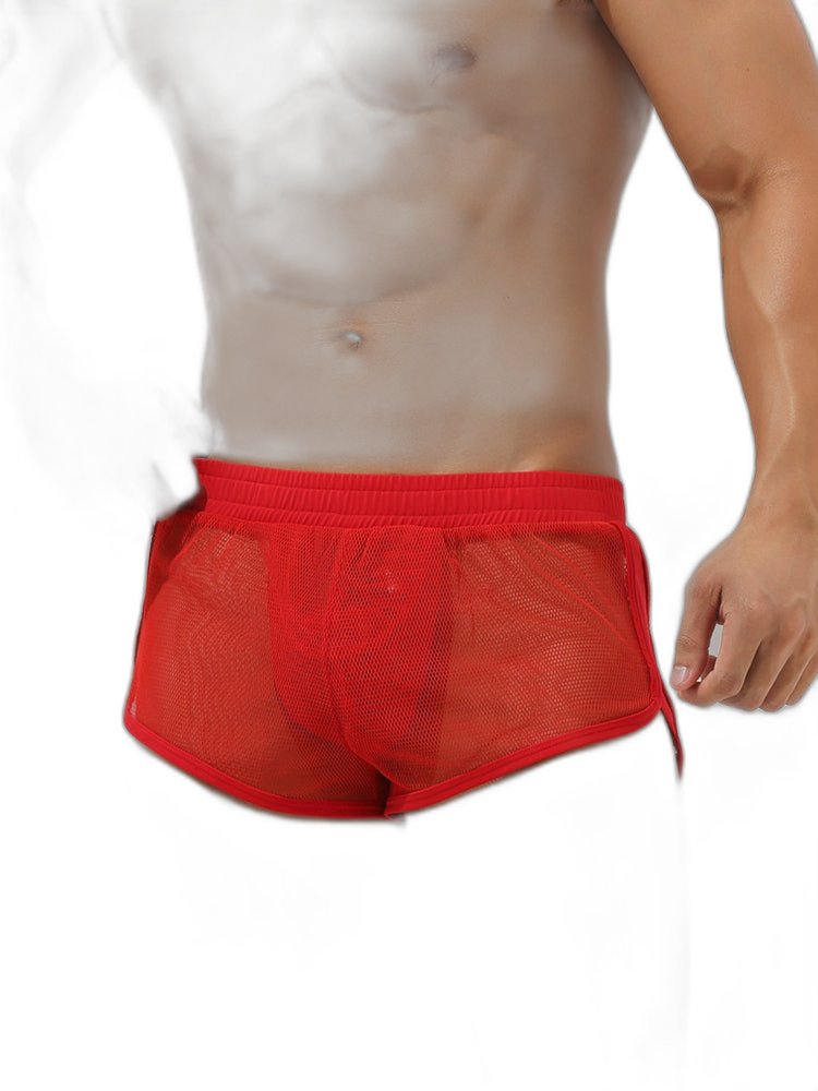 Men’s Sexy See Through Mesh Boxer Shorts