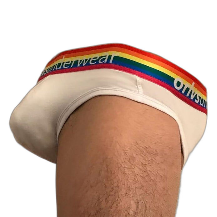 ORLVS Pride Briefs