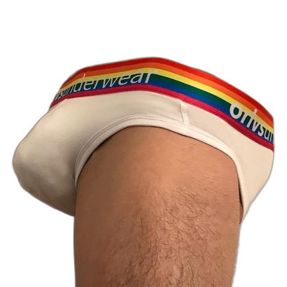 ORLVS Pride Briefs