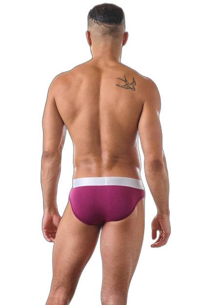 3 Pack POCKET Briefs