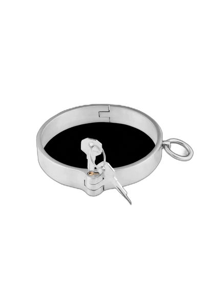 Heavy Steel Collar