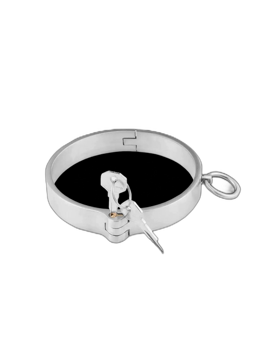 Heavy Steel Collar