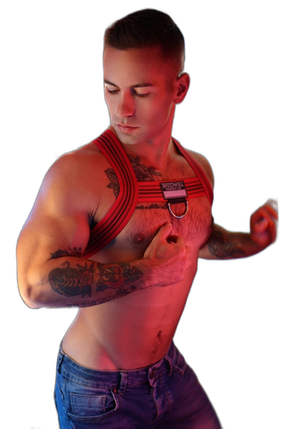 Breedwell Cumdump Bulldog Harness Red