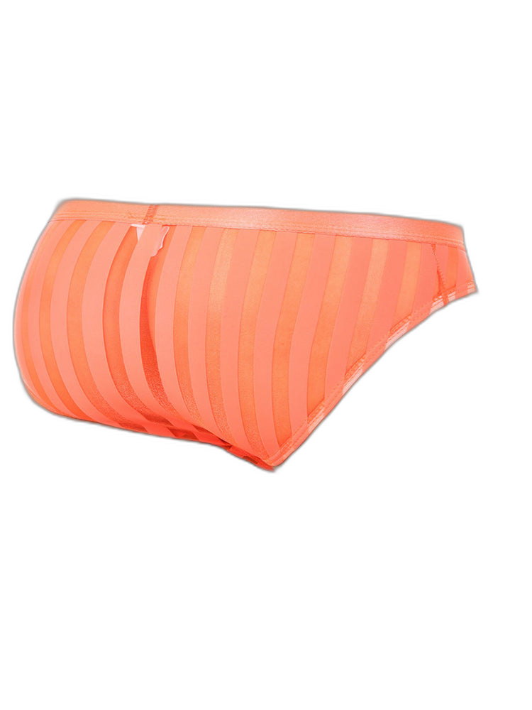 3 Pack Men's Sexy Striped Sheer Mesh Bikini