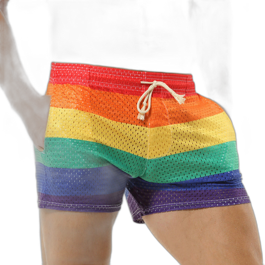 Rainbow Mesh Shorts