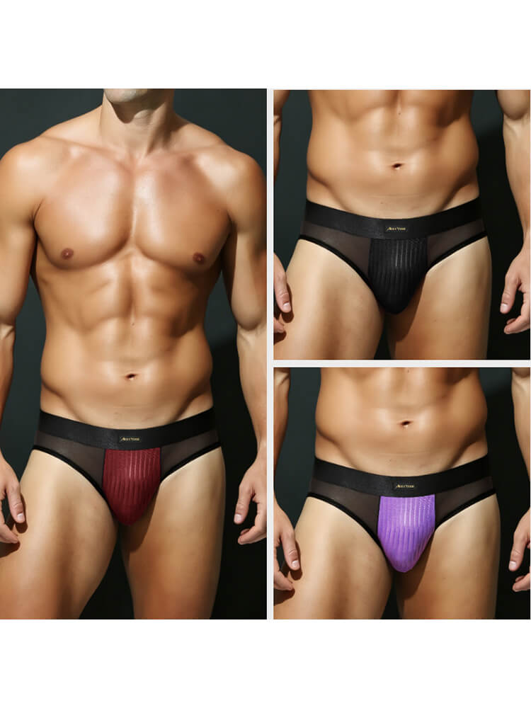 Men's Low-Rise Sexy Mesh-Paneled Breathable Briefs