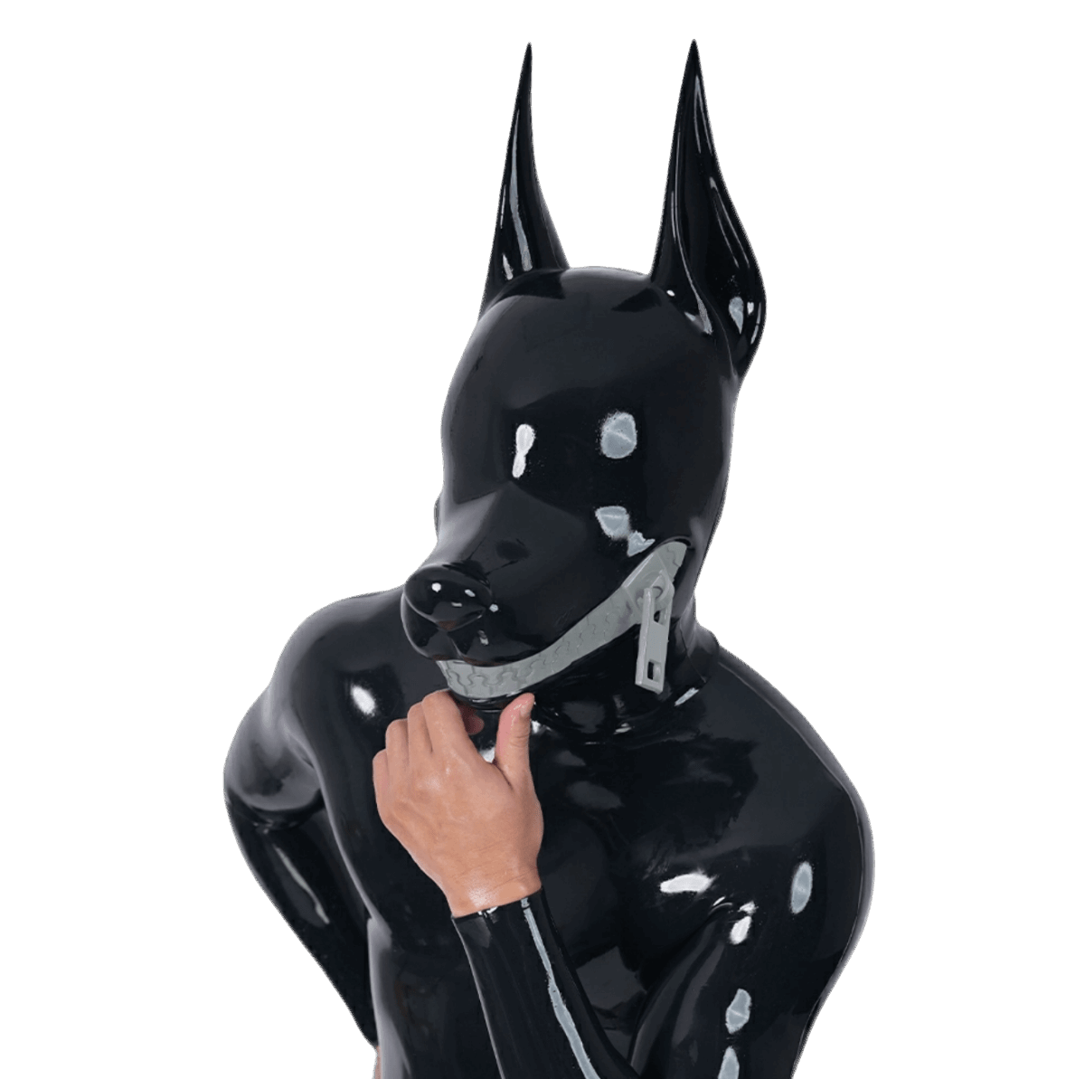 Furrjoi Zipper Dog Hood