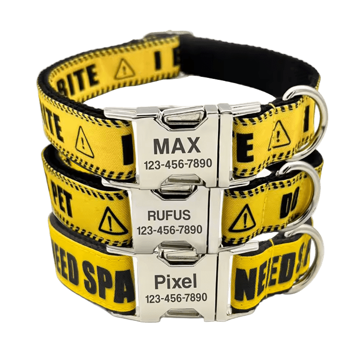 Custom Ask To Pet Collar