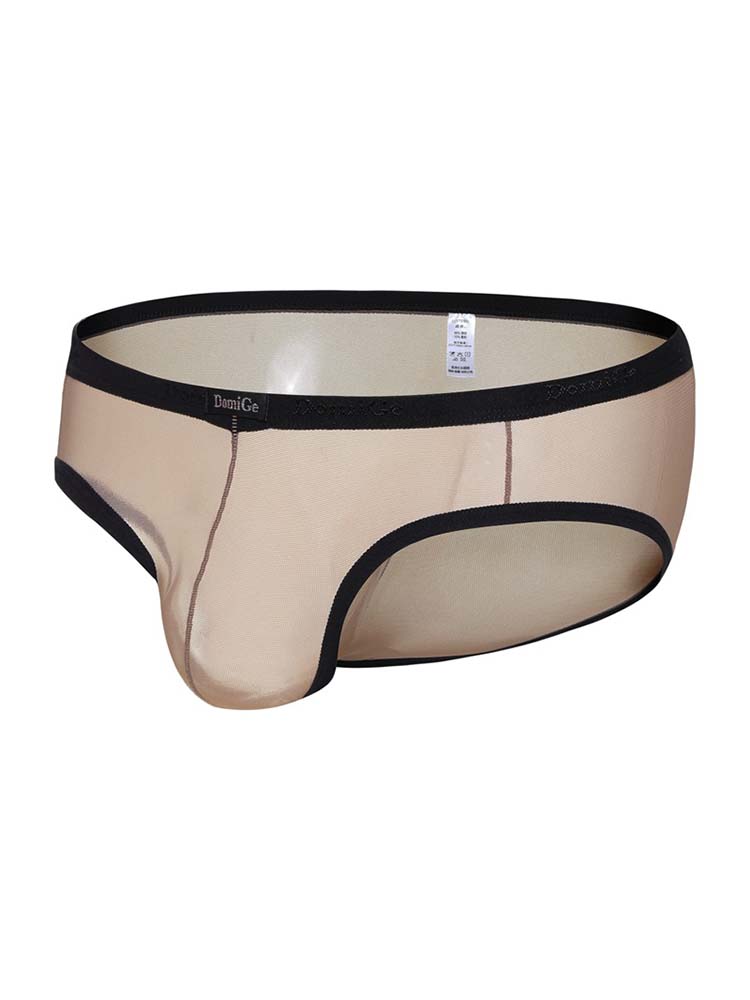 Men's Transparent Mesh Low Rise Briefs