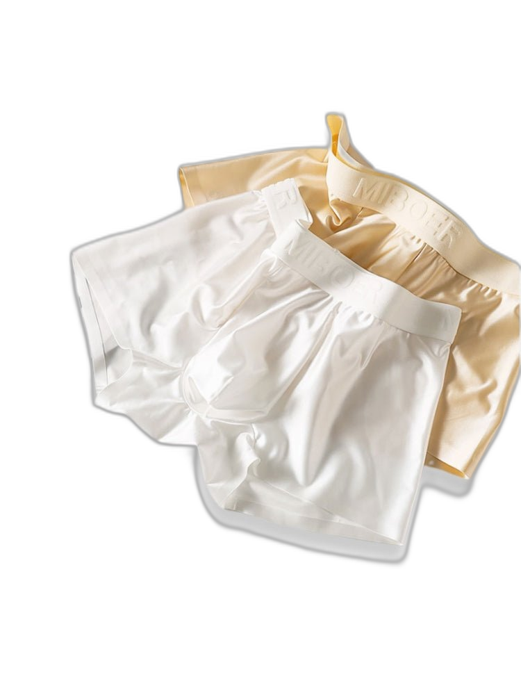 2 Pack Men's Premium Ice Silk Ultra-Soft Lightweight & Airy Trunks