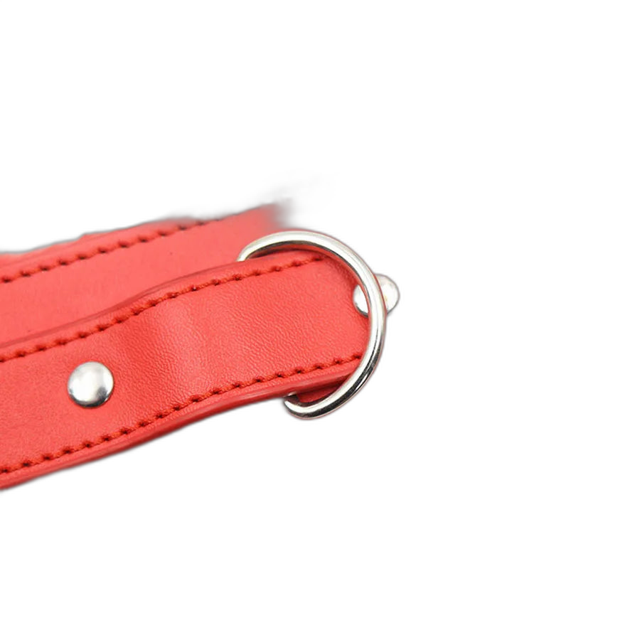 Kinky Fur Lined Bondage Collar