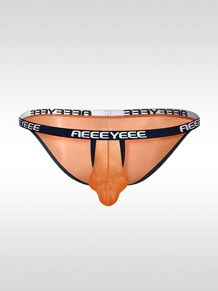 Men's Sexy High-Cut Low-Rise Transparent Briefs