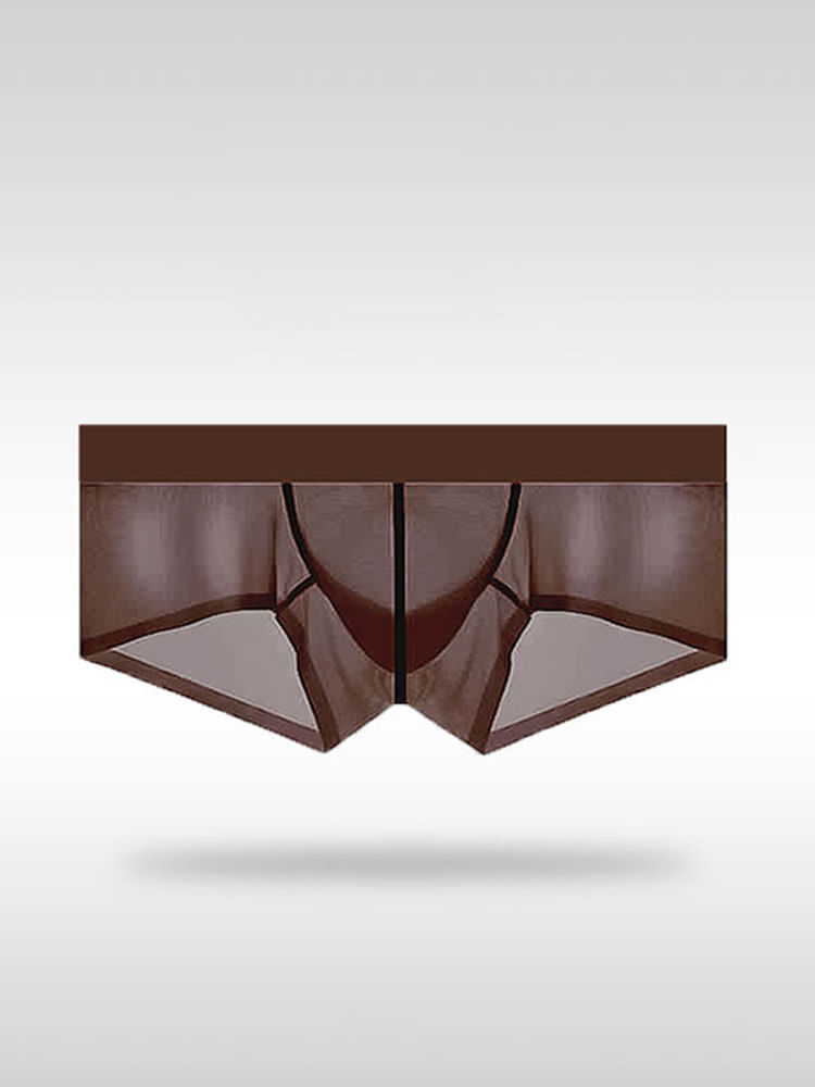 Men's Sexy Tight Transparent Low Rise Trunks