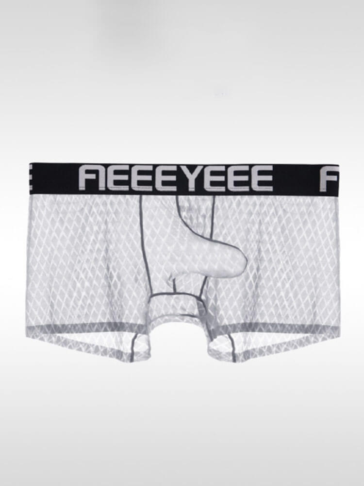 Men's Sexy Elephant Trunk Pouch Ice Silk Boxer Briefs