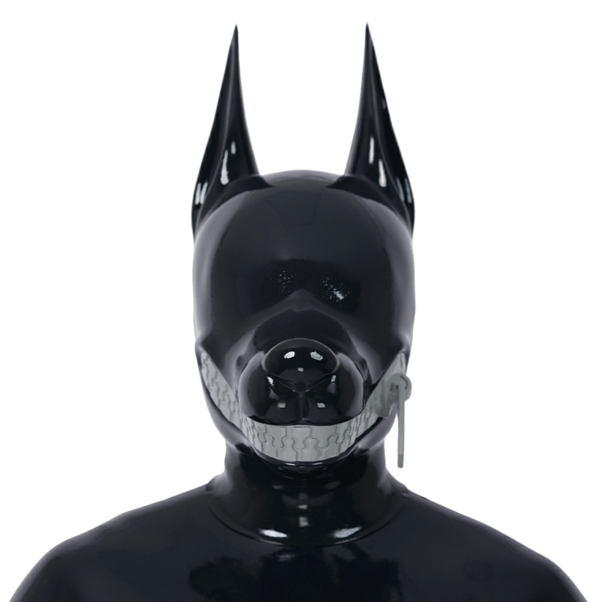 Furrjoi Zipper Dog Hood