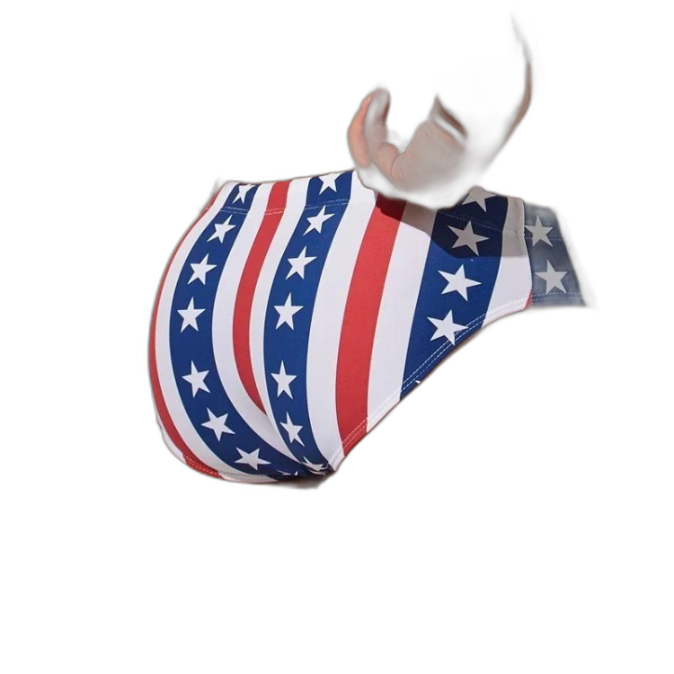 Patriot Pride USA Swim Briefs