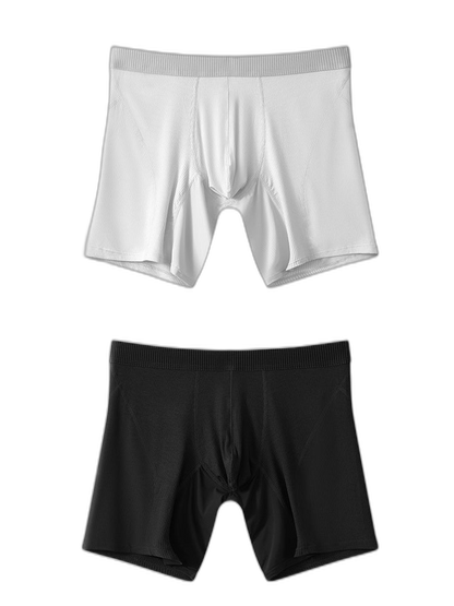 2 Pack Men’s Casual Ice Silk Midway Briefs
